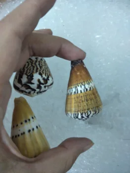 3 kom. u stranci male morske školjke izabrane prirodne školjke i umivaonik obrt DIY ukras