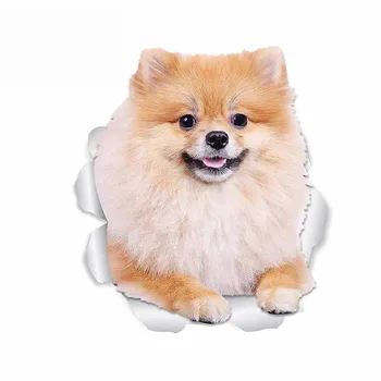 Dawasaru for Pomeranian Dog Car Styling Stickers Trunk Decal vodootporan vinil materijal je pogodan za kombi RV,13cm*11cm