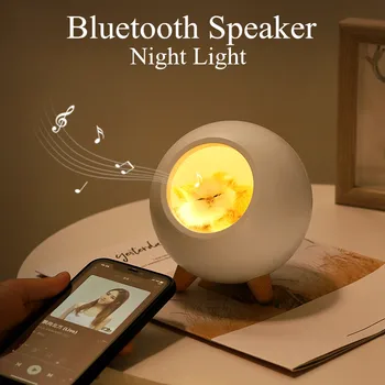 Slatka mačka kuća Bluetooth zvučnik Night Light touch dimming LED Baby djeca noćna spavanja žarulja spavaća soba Home Decor blagdanski dar