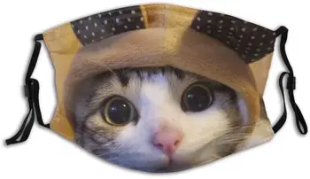 Smiješno mačka maska za lice sa filterom džep periva bandanas lica Balaclava prozračna reusable Tkiva maska